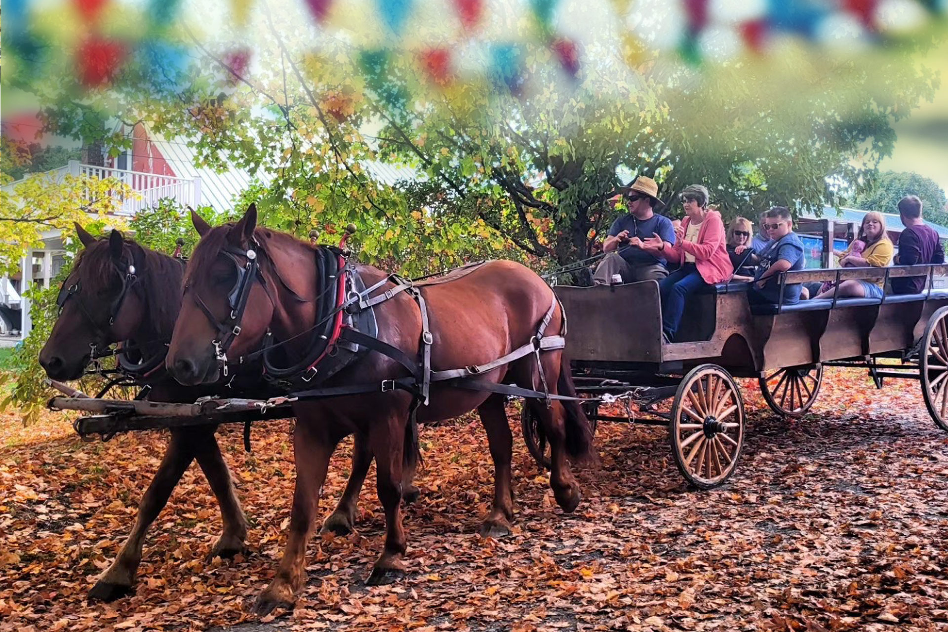 East Barnard Linen Fair