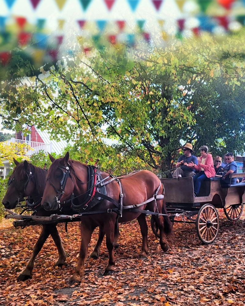 East Barnard Linen Fair