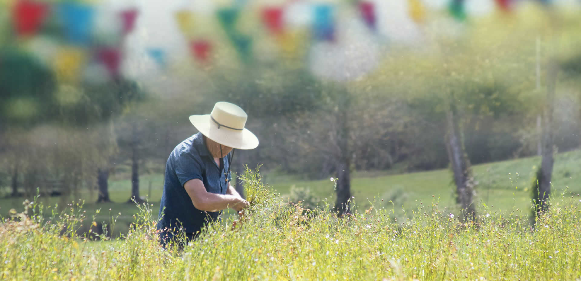 East Barnard Linen Fair