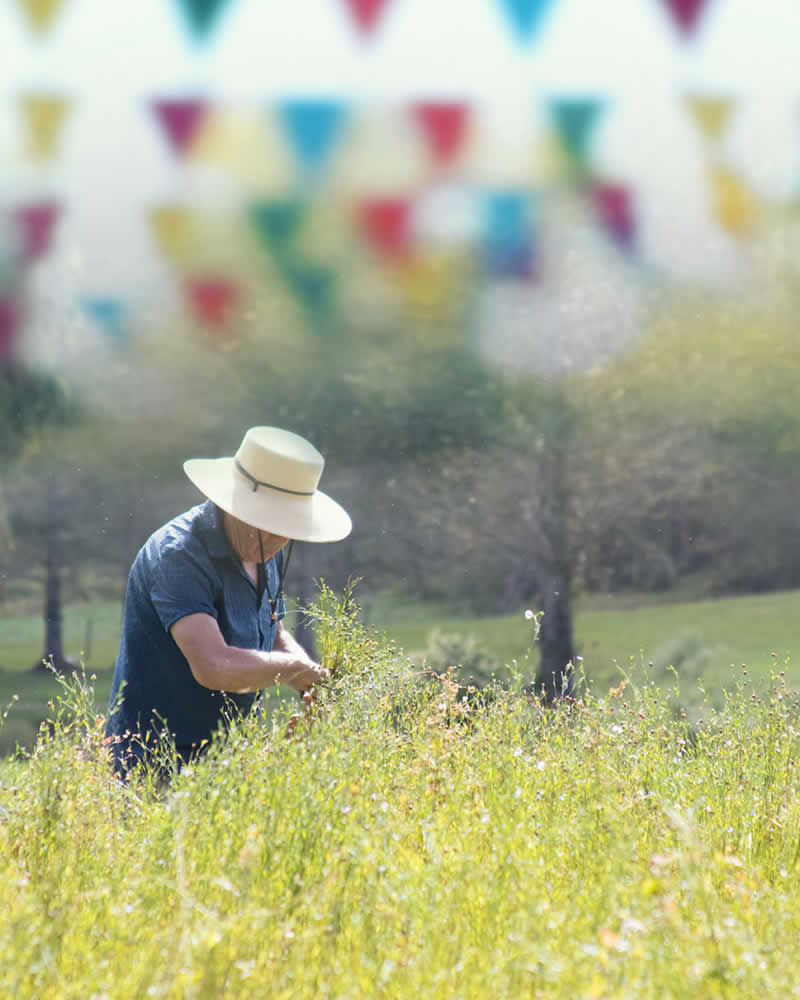 East Barnard Linen Fair